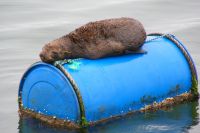 209-no stress in Namibia