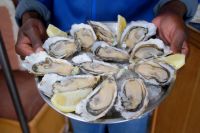 221-frische Austern Mittagsnack Bootstour