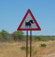336-Pumba Namibia