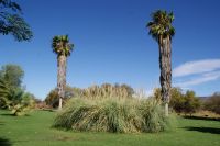 351-Mount Etjo Safari Lodge