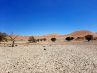 Nationalpark Sossusvlei - Sossusvlei Lehmsenke
