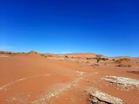 Nationalpark Sossusvlei - Wanderung zum Dead Vlei