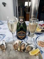 Walvis Bay - Bootstour durch die Lagune - Austern & Sekt