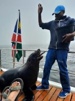 Walvis Bay - Bootstour durch die Lagune - Robbe an Bord