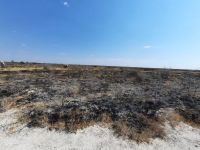 Etosha Nationalpark - verbrannte Erde