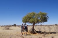 Namibia - Wanderung im Gondwana Kalahari Park