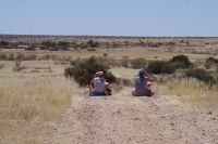 Namibia - Wanderung im Gondwana Kalahari Park