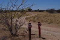 Namibia - Wanderung im Gondwana Kalahari Park