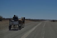 Namibia - Kalahari Ferrari