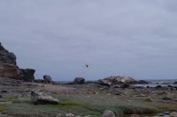 Rundfahrt zu den Lüderitzer Buchten