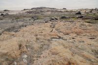 Rundfahrt zu den Lüderitzer Buchten