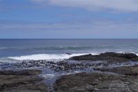 Rundfahrt zu den Lüderitzer Buchten - am Atlantik