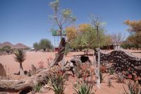 Namibia - Pause in Betta