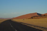 Unterwegs in der Namib - Nationalpark Sossusvlei