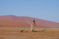 Nationalpark Sossusvlei 