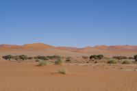 Nationalpark Sossusvlei - Dünenmeer