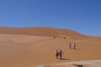 Nationalpark Sossusvlei - Wanderung zum Dead Vlei