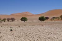 Nationalpark Sossusvlei - Sossusvlei Lehmsenke