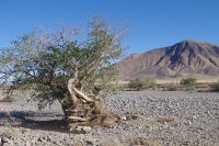 Unterwegs - trockenes Rivier