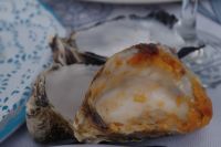 Walvis Bay - Bootstour durch die Lagune