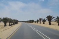 Zurück nach Swakopmund