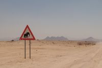 Auf Pad durch das Damaraland - Achtung Elefanten!