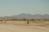 Auf Pad durch das Damaraland - Achtung Elefanten!