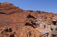 Twyfelfontein - Wanderung zu den alten Felszeichnungen und -gravuren
