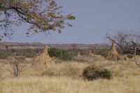 Unterwegs - Termintenhügel