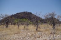 Etosha Nationalpark - Helio Hügel