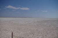 Etosha Nationalpark - Etosha Pan, der große, weiße Platz