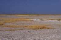 Etosha Nationalpark - Salzpfanne