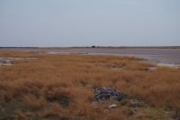 Etosha Nationalpark - Salzpfanne