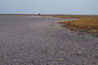 Etosha Nationalpark - Salzpfanne