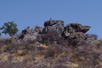 Wanderung am Mount Etjo zu den Dino Spuren