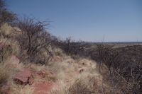 Wanderung am Mount Etjo