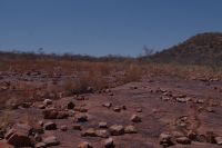 Suche nach den Fußabdrücken der Saurier