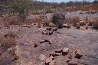 Auf den Suren der Saurier