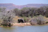 Mount Etjo Safari Lodge
