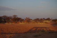 Mount Etjo Safari Lodge - Nature Drive - Sonnenuntergang