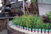 Windhoek - Abendessen in Joe`s Beer house