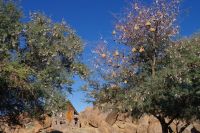 Canon Lodge am Fish River Canyon