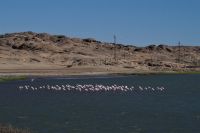 Lüderitzer Buchten mit Flamingos