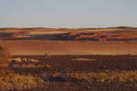 Ausflug ins Sossusvlei