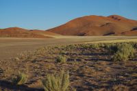 Ausflug ins Sossusvlei