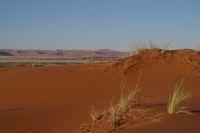 Ausflug ins Sossusvlei