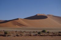 Ausflug ins Sossusvlei