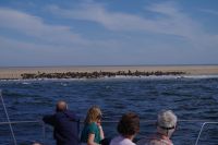 Bootsfahrt in der Lagune