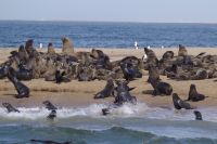 Bootsfahrt in der Lagune