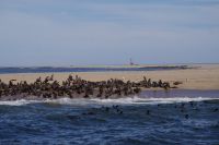Bootsfahrt in der Lagune